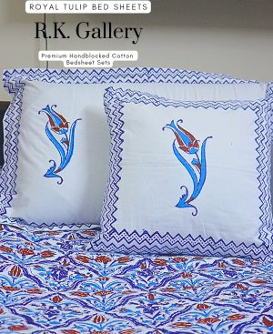 490746967 1262796088904671 2181351644634520471 n