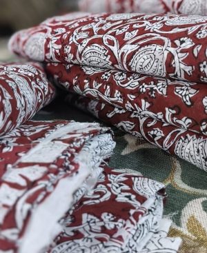 571467878 1434413858409559 2818486479434137413 n